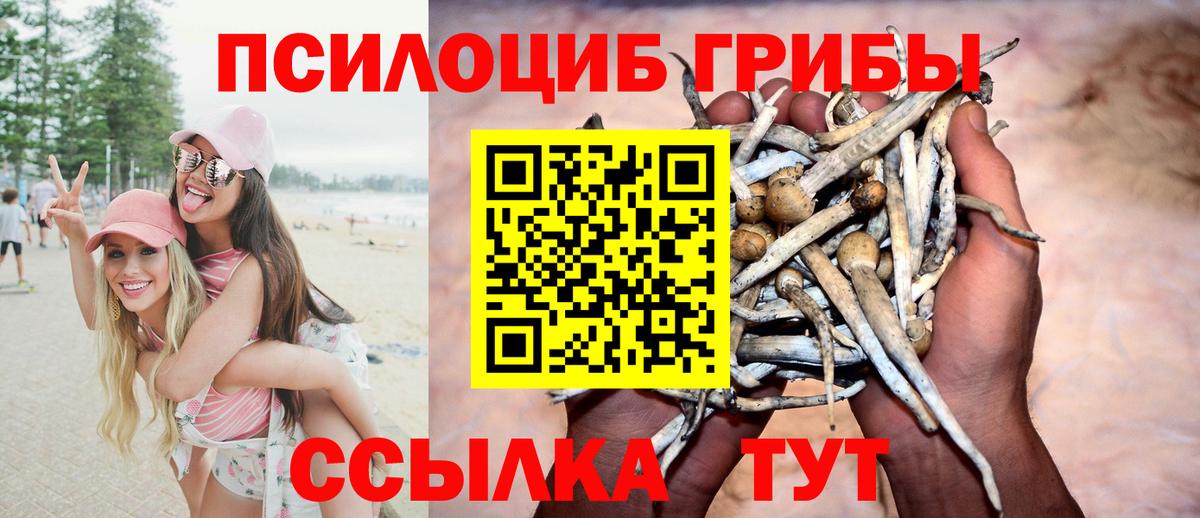 Галлюциногенные грибы Cubensis  Вход с VPN  Галлюциногенные грибы GOLDEN TEACHER  Мирный 